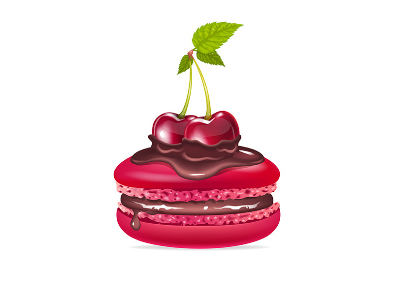 Macaroon, creamy dessert with chocolate and cherries realistic vector illustration