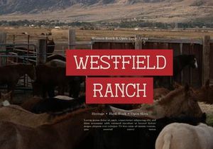Therodit | Slab Serif Typeface