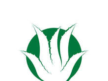 Aloe Vera logo icon design symbol beauty skin care