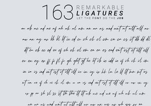 Schrödinger's | Signature Font
