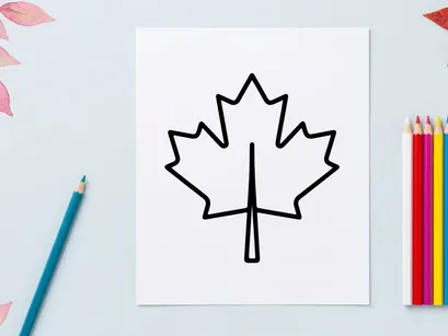 Minimalist maple leaf line drawing. Simple botanical illustration for design projects