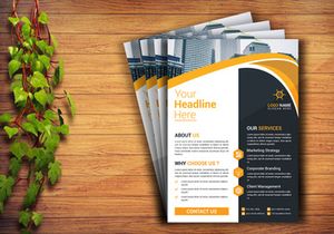 Professional Flyer