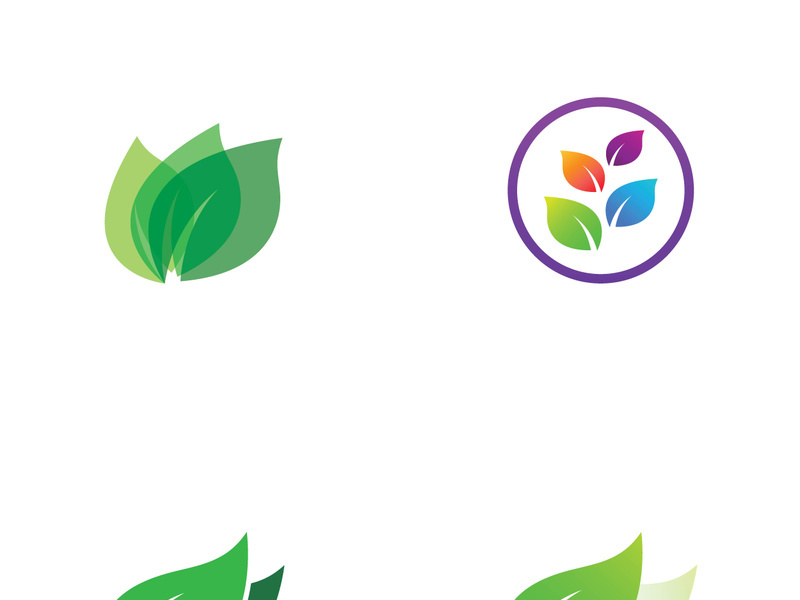 Natural green leaf logo design.