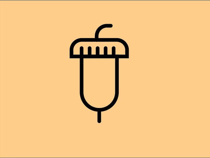 Flat design acorn in adobe illustrator