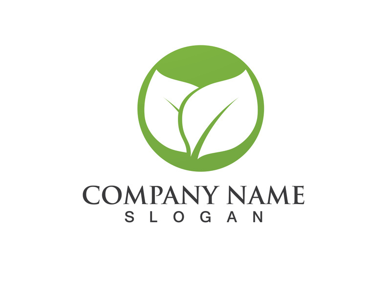 Green leaf logo Vector
