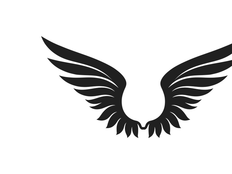 black bird wing logo vector