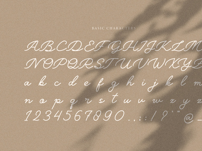 Belly Shine | Handwritten Script Font