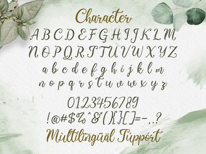 Virgiluna - Modern Calligraphy Font