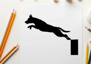 Dog jumping silhouette in mid air against white background