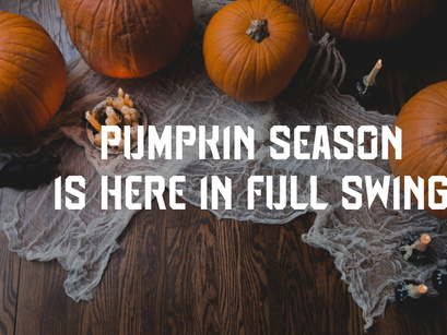 Spooky Pumpkin - Quirky Vintage Font