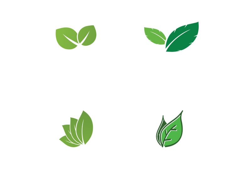 natural leaf logo