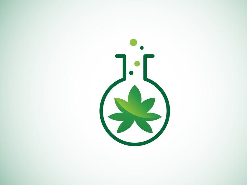 Marijuana leaf. Medical cannabis. Hemp oil. cannabis or marijuana leaf logo