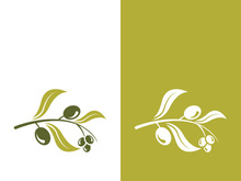 Extra virgin olive oil logo icon design vector illustration