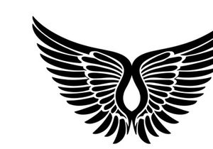 black bird wing logo vector