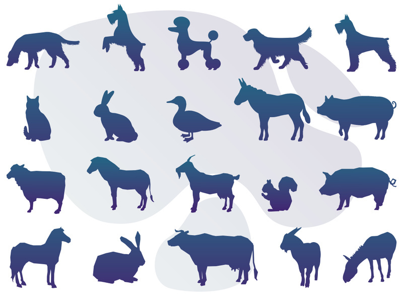 Animals : Silhouette Collection With Logo