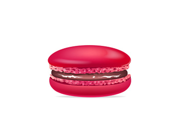 Macaroon, traditional french dessert realistic vector illustration preview picture
