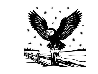 Silhouette of an owl perched on a fence under starry night sky