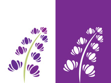 Fresh lavender flower logo vector flat design