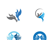 Dove bird logo vector design illustration