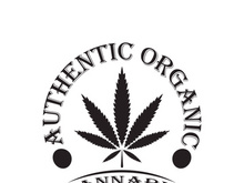 Mariuhana leaf symbol, marijuana or hemp icon, cannabis medical sign, weed drug vector illustration