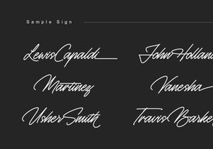 Monosign - Monoline Signature Font