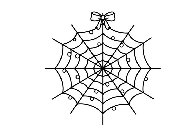 Hand-drawn black and white spider web with decorative bow. Minimalist line art web illustration for Halloween or nature-themed designs.