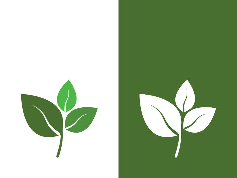 Logos of green tree leaf ecology nature element vector