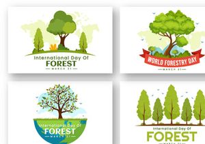 12 International Forest Day Illustration