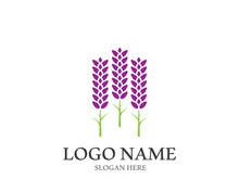 Fresh lavender flower logo vector flat design