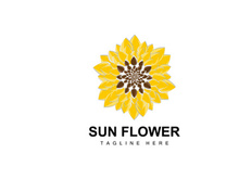 Sunflower Logo Design, Ornamental Plant Garden Plant Icon Vector, Company Product Brand