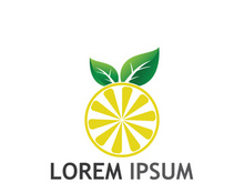 Fresh citrus fruit logo design.