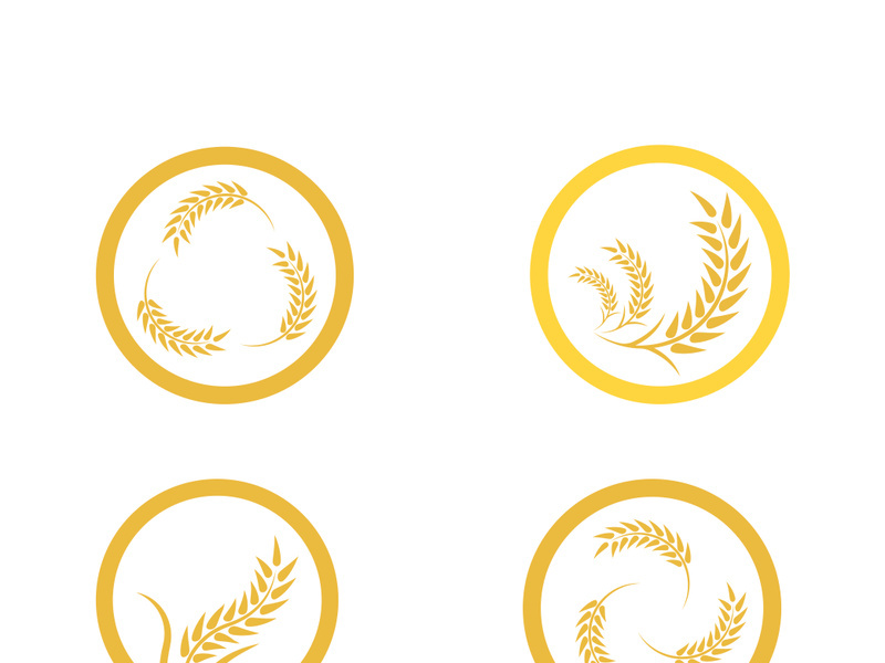 Wheat logo vector icon illustration design