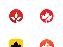 Canadian maple leaf logo design with a creative idea.