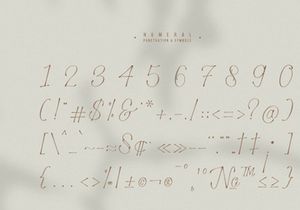 Stelaroy | Stylish Signature