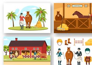 13 Equestrian Sport Horse Trainer Illustration
