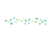 Mint Leaf icon template  illustration