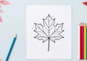 Close-up of a detailed autumn maple leaf. Natural fall foliage with vibrant colors.