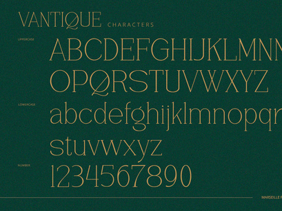 Vantique - Serif Font