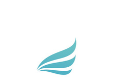 Falcon Wing  Vector Logo Icon Template