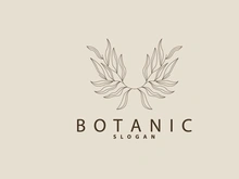 Leaf Line Logo, Beautiful Hand Drawn Design