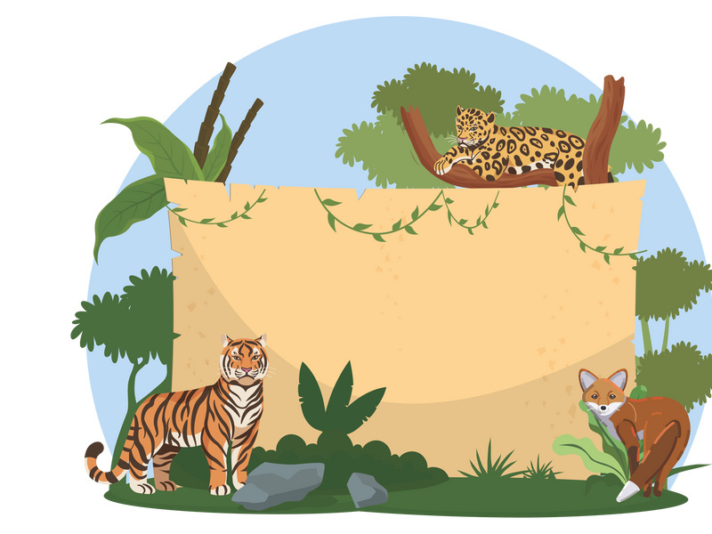 Empty banner wild animals vector illustration