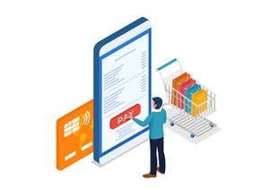 Set of online payment method v1