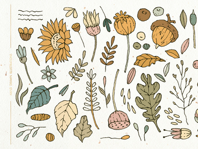 Autumn Harmony Patterns and Illustrations
