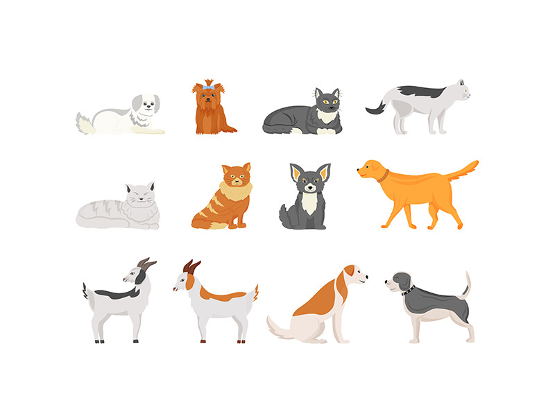 Domestic animals flat color vector characters set