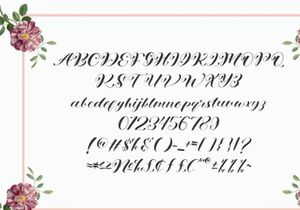 WONDER VARELIA - Script Calligraphy Font