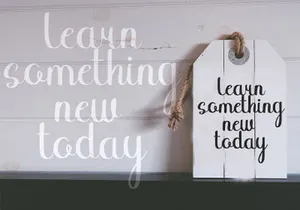 Binttang Selfianto - Modern Script Font