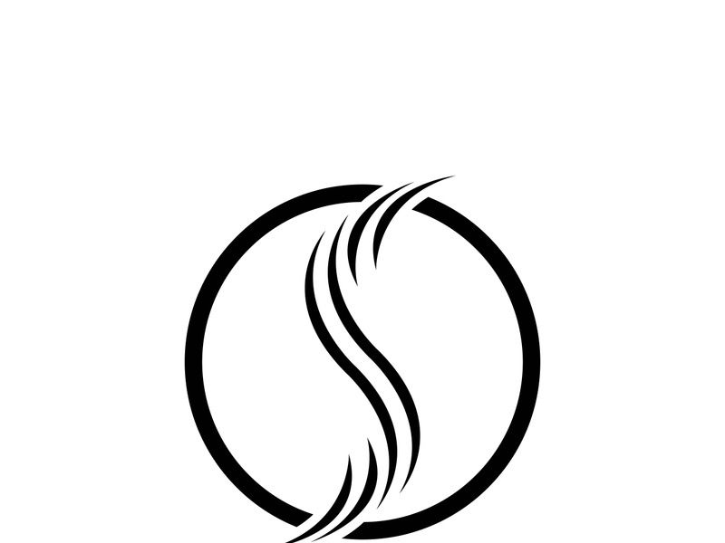 Business corporate S letter logo