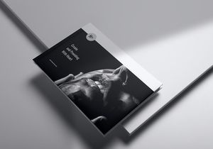 HUMAN Creative Brochure Templates