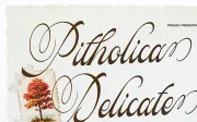Pitholica Delicate | Classic Elegant Script