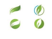 Green leaf logo  Nature icon design